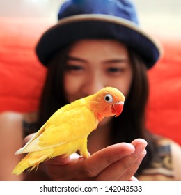 Young Woman With Yellow Bird On The Hand