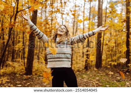 Similar – Image, Stock Photo autumn hike Autumn