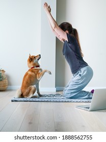 Young Woman In Yoga Position Balancing With Her Dog. Home Online Training With A Pet. Doga Or Doga Yoga Is The Practice Of Yoga As Exercise With Dogs