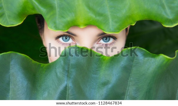 年輕女子的臉被熱帶葉子包圍 女人的眼睛與自然化妝在熱帶葉背景 天然美容及保健概念 純潔和護膚品 文字的空格庫存照片