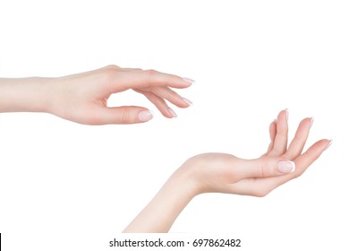 Womans Girls Hands Holding Something One Stock Photo (Edit Now) 697849486