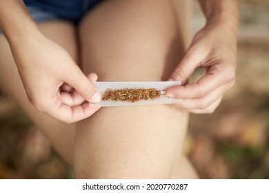 Young Woman's Hands Rolling Up A Piece Of Marihuana In Rolling Cigarette Paper, Ready To Make A Joint