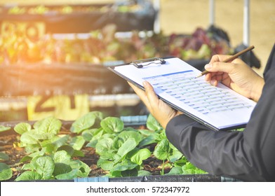 Young Women Asian Farmers  Check The Quality Control Of The Agriculture Food Product In The Farm New Generation Farmer Concept.