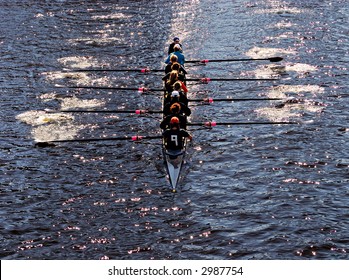 Young Women Athletes Rowing Boat. Teamwork Concept