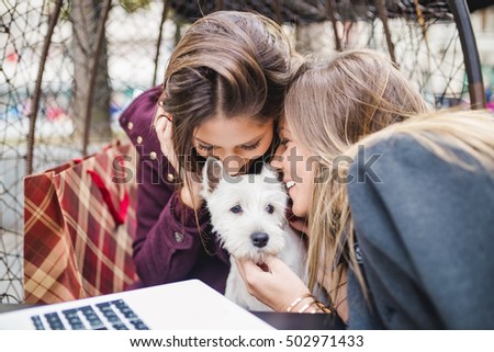 Young women enjoying in cafeteria with adorable west highland white terrier puppy. Selective focus on women's faces.