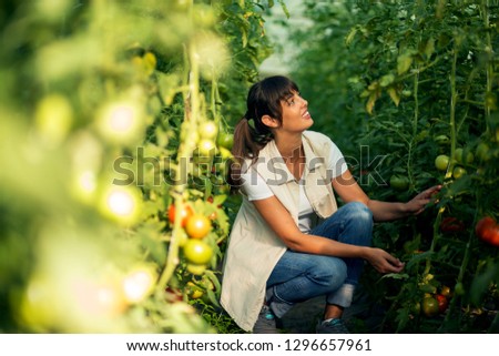 Young women harvesting vegetables from garden 