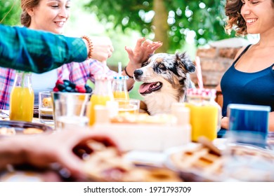 Young Women On Healthy Pic Nic Breakfast With Cute Puppy At Countryside Farm House - Genuine Life Style Concept With Millennial Friends Having Fun Together Outside At Garden Party - Focus On Dog