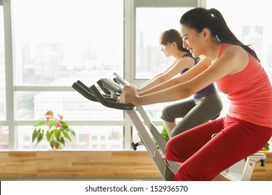 Young Women On Stationary Bikes Exercising In The Gym