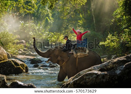 Young women riding an elephant in the Asia natural scenery.