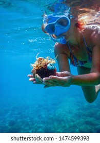 Sport A La Plage Stock Photos Images Photography