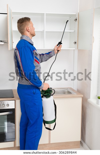 Young Worker Spraying Insecticide On Shelf Of\
Kitchen Room
