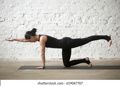 Young Yogi Attractive Woman Practicing Yoga Concept, Standing In Donkey, Kick Exercise, Bird Dog Pose, Working Out, Wearing Sportswear, Black Tank Top And Pants, Full Length, White Loft Background 