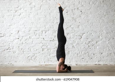 Young yogi attractive woman practicing yoga concept, standing in salamba sirsasana exercise, headstand pose, working out, wearing sportswear, black tank top and pants, full length, loft background 