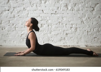 Young yogi attractive woman practicing yoga concept, stretching in Cobra exercise, Bhujangasana pose, working out, wearing sportswear, black tank top and pants, full length, white loft background 