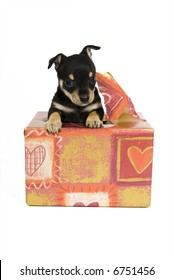 I am your gift!