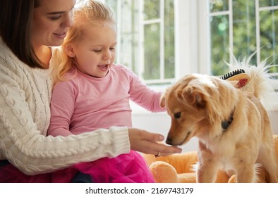 Its Your Pamper Day. Shot Of A Little Girl Sitting On Her Mothers Lap While Brushing Their Puppy.