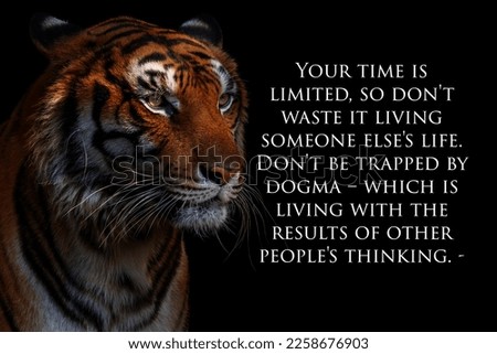 your time is limited so do not waste it living someone else's life don't be trapped by dogma which is living with the results of other people's thinking motivation motivational quotes 
