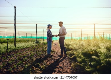 You're Doing A Fantastic Job. Full Length Shot Of Two Young Farmers Shaking Hands While Working On Their Farm.