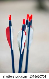 Youth Archery Arrows, Colorful Close-up