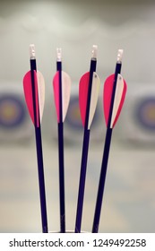 Youth Archery Arrows With Targets In The Background