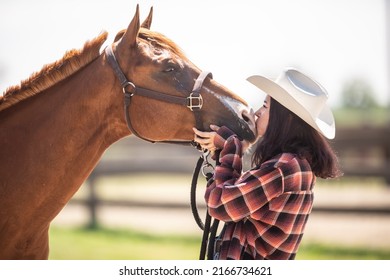 Youth Girl Kisses A Brown Horse Expressing Love Towards The Animals.