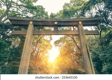 Yoyogi Park And Arch. Harajuku Tokyo