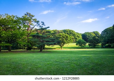 代々木公園 の画像 写真素材 ベクター画像 Shutterstock