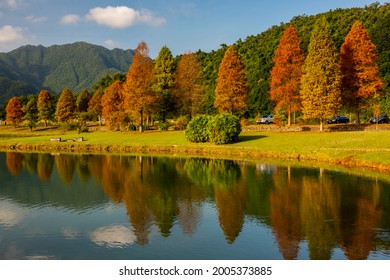 Yuanshan Township, Yilan County, Taiwan Lake Taxus