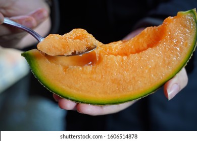 Yubari Melon : A Famous Food Representing Hokkaido