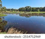 Yuilles Wetlands in Ballarat, Victoria Australia