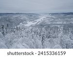 Yukon River valley in winter covered with snow