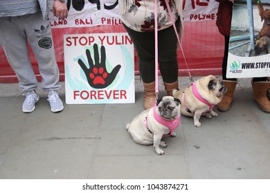 Yulin Dog Festival Protestors Chinese New Year, Year Of The Dog At: Trafalgar Square, London, February 2017. Stock, Photo, Photograph, Picture, Image