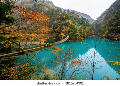 Yume no Tsuribashi suspension bridge on the emerald river in autumn season at Sumatakyou, leaf color change to yellow, Shizuoka province, Japan - Powered by Shutterstock