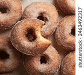 Yummy Delicious Apple Cider Doughnuts