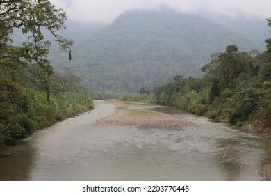 Yungas Mountainous Jungle In Bolivia