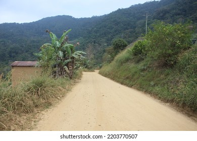 Yungas Mountainous Jungle In Bolivia