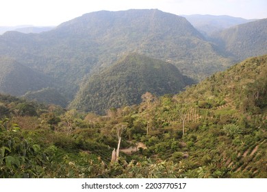 Yungas Mountainous Jungle In Bolivia