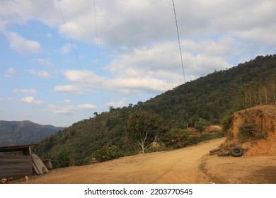 Yungas Mountainous Jungle In Bolivia