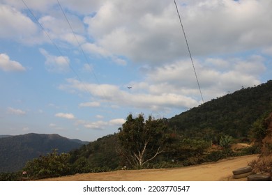 Yungas Mountainous Jungle In Bolivia