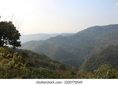 Yungas Mountainous Jungle In Bolivia