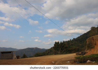 Yungas Mountainous Jungle In Bolivia