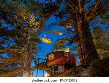 Yurt/tent Under Starlit Sky In The Woods, Big Sur, California