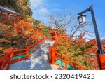 Yutoku Inari shrine in Kashima City, Saga Prefecture. It