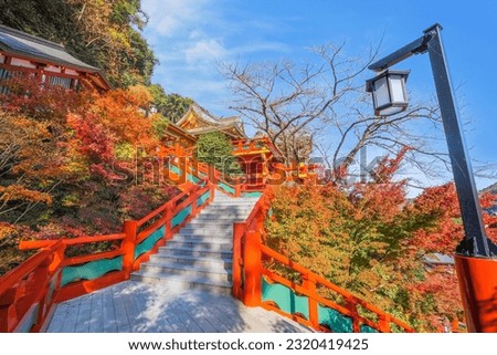 Yutoku Inari shrine in Kashima City, Saga Prefecture. It's one of Japan's top three shrines dedicated to Inari alongside Fushimi Inari in Kyoto and Toyokawa Inari in Aichi