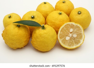 Yuzu Citrus