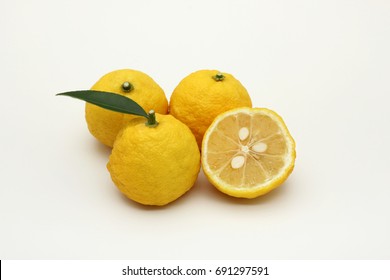 Yuzu Citrus