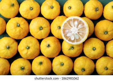 柚子 の画像 写真素材 ベクター画像 Shutterstock
