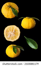 Yuzu Fruits Isolated On A Black Background 