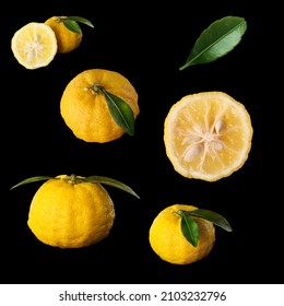 Yuzu Fruits Isolated On A Black Background 