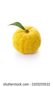 Yuzu Fruits Isolated On A White Background 